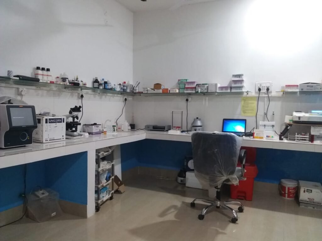 WhatsApp Image 2025-09-06 at 2.17.07 PM